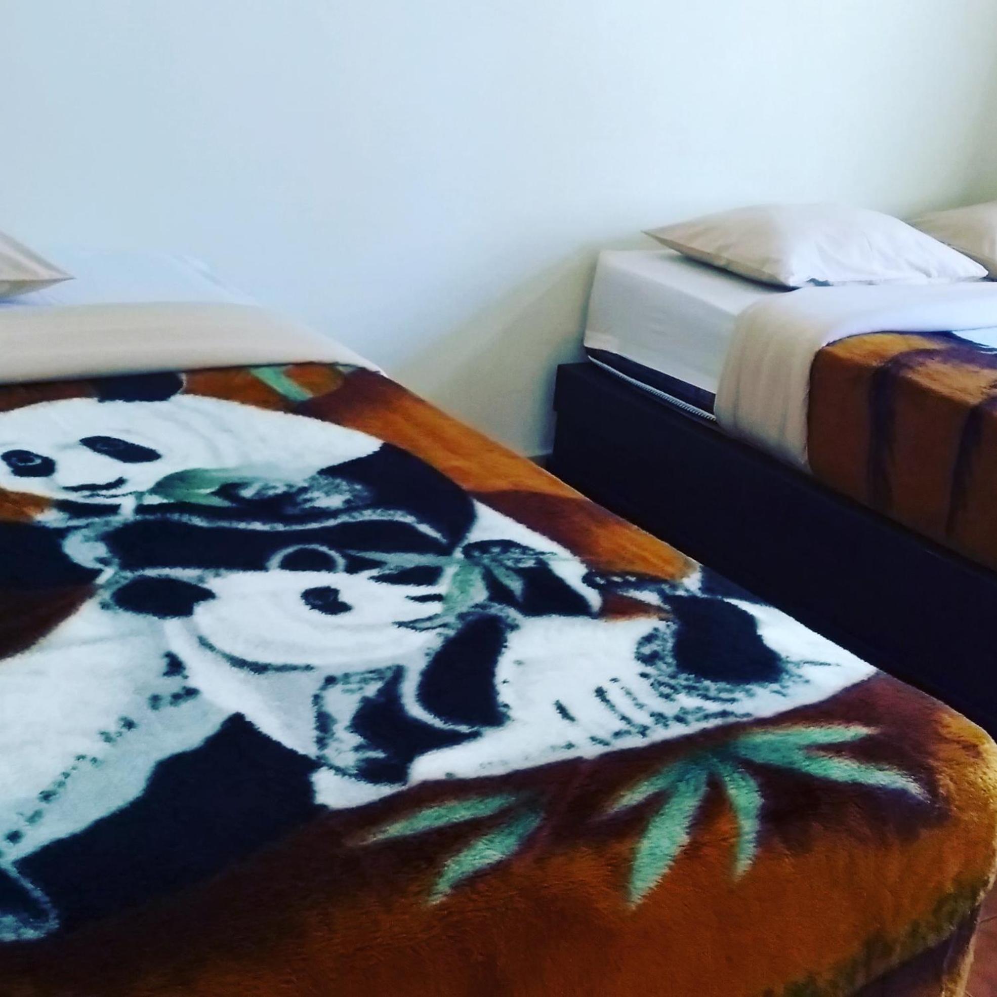 Bromo Otix Guest House Quarto foto